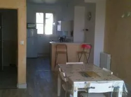 Vaste appartement avec vue sur la Vienne