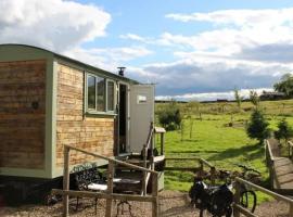 Lizzie off grid Shepherds Hut The Buteland Stop，位于贝灵汉姆的带停车场的酒店