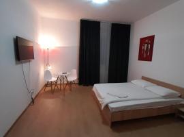 Piata Unirii- 1 Room Studio Apartment，位于蒂米什瓦拉的酒店