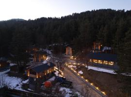 Abant Niz，位于博卢的酒店