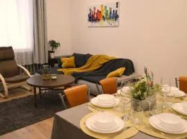 Spacious City Center Family 2 bedrooms apartment