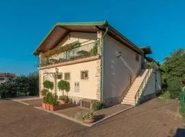 Apartments Villa Roza