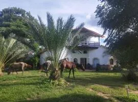 Horse Inn - Posada