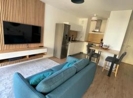 Superbe T2 proche de la Gare RER TGV Massy Palaiseau，位于马西的住宿