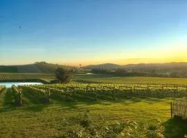 Mount Hope Estate Vineyard