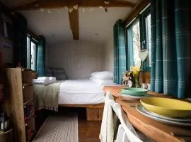 Shire the Shepherd's Hut at Pentref Luxury Camping