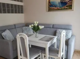 Apartament Spacerowa z balkonem