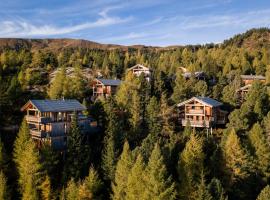 Naturchalets Turracher Höhe by ALPS RESORTS，位于图拉彻霍赫的木屋