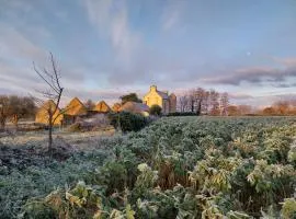 Manoir de kerozet - Chambres chez l'habitant - 3 chiens