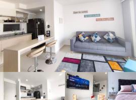 Nueva Suite De Lujo Familiar excelente ubicación，位于比亚维森西奥的公寓
