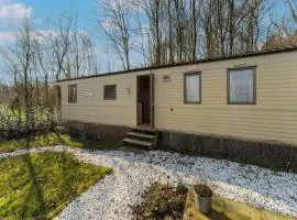 Chalet near the woods of Appelscha