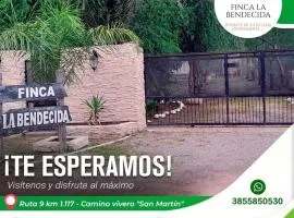 Finca y temporarios la BENDECIDA