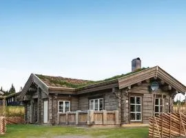 Lovely Home In Sjusjøen With Kitchen