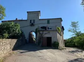 Amazing castle house