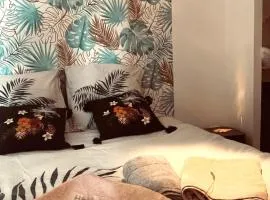 chez LULU appartement neuf au coeur de cozzano