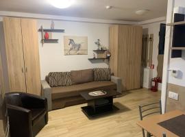 Studio Militari Residence MR_1，位于Roşu的酒店