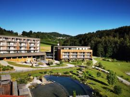 Familotel Schreinerhof，位于申贝格的酒店