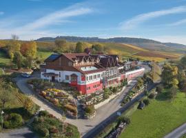 Wo der Hahn kräht，位于Flein的酒店