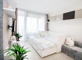 Silver Lodge Ezüstpart Apartman，位于希欧福克的木屋