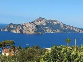 Delizia Caprese