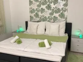 Frézia Apartman