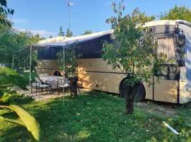 terrebioBus
