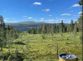 Mountain Cabin Lofsdalen，位于洛夫斯达伦的酒店