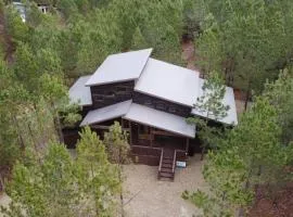 Serenity Pines-3bd/2bth, Sleeps 8, Hot tub+Arcades