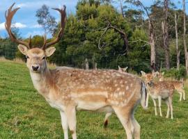 Wally's Edge 20acre Farm Stay，位于Rawson的农家乐