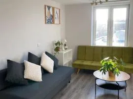Modern and Cosy 1-Bed Apt in the Heart of Dublin