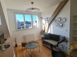 Le Jaures 6 - T2 - Dernier Etage