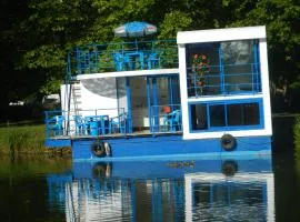 Maison flottante sur la seille