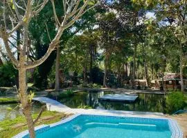 Shaya Resort