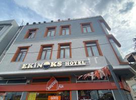 Ekinoks Hotel，位于İznik的酒店