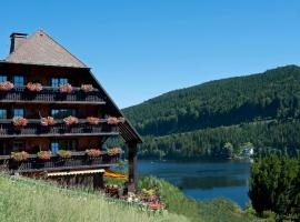 Alemannenhof - Boutique Hotel am Titisee，位于蒂蒂湖-新城的酒店