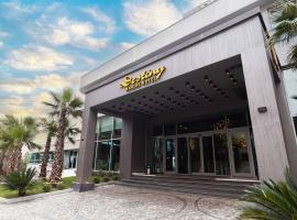 Destiny Marine Hotel，位于伊斯坦布尔的酒店