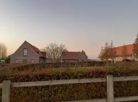 安静小径住宿加早餐旅馆