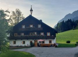 Appartement Steinerhof，位于维尔芬翁的酒店