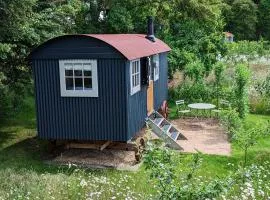 Wellbeing Orchard