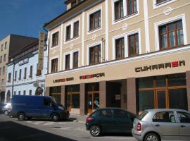 学术酒店，位于兹沃伦的酒店