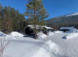 Nymon Mountain Lodge，位于斯托滕索尔缆车附近的酒店