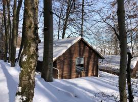 Schwedische Winter Hütte unter Buchen，位于Landolfshausen的露营地