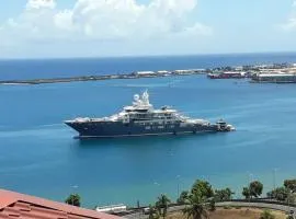 Belle vue côté mer sur l'arrivé des paquebots,