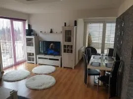 Mezonetovy Apartmán v centre Novej Dubnice