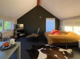 Arcaden loft