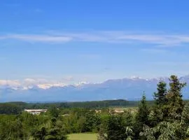 Spacious new 2 bdr walk-out apartment