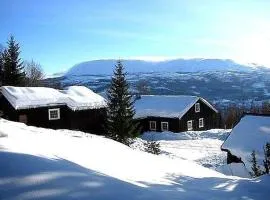 Hjartdal Fjellstoge & Storhytte