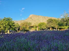 CASAS Viñedos de Cafayate Alquiler Temporario，位于卡法亚特的酒店