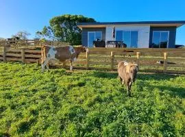 Country Comfort - only 10 minutes from Hamilton CBD