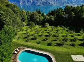 Tenuta Valle degli Ulivi by Wonderful Italy